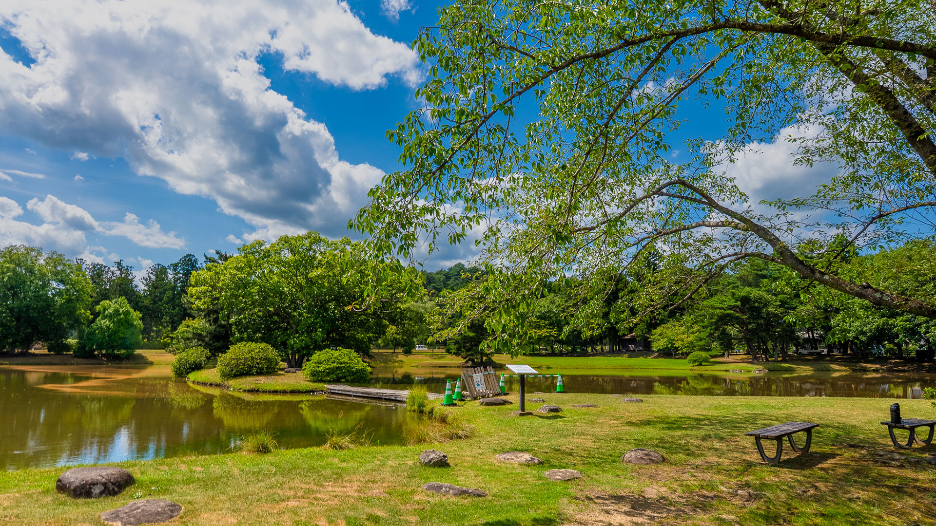 夏の観自在王院跡5