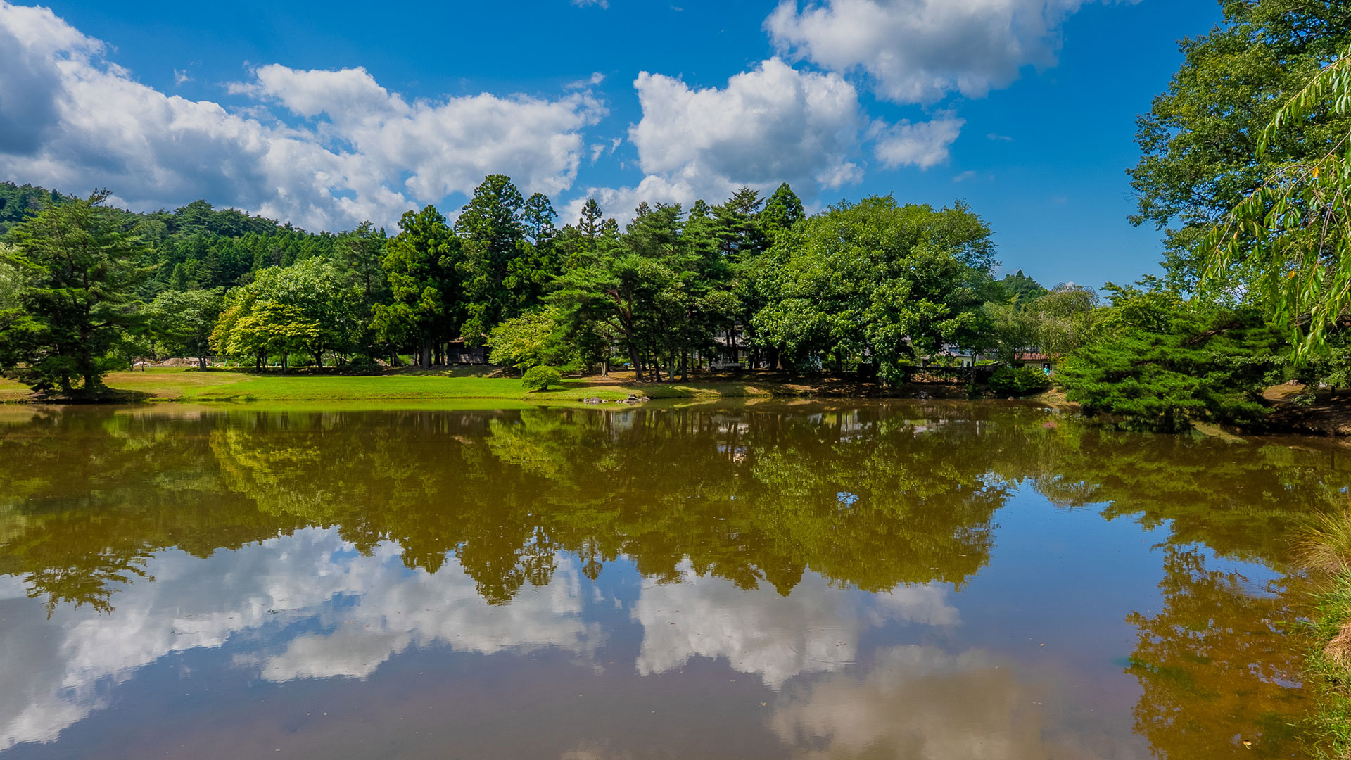 夏の観自在王院跡9