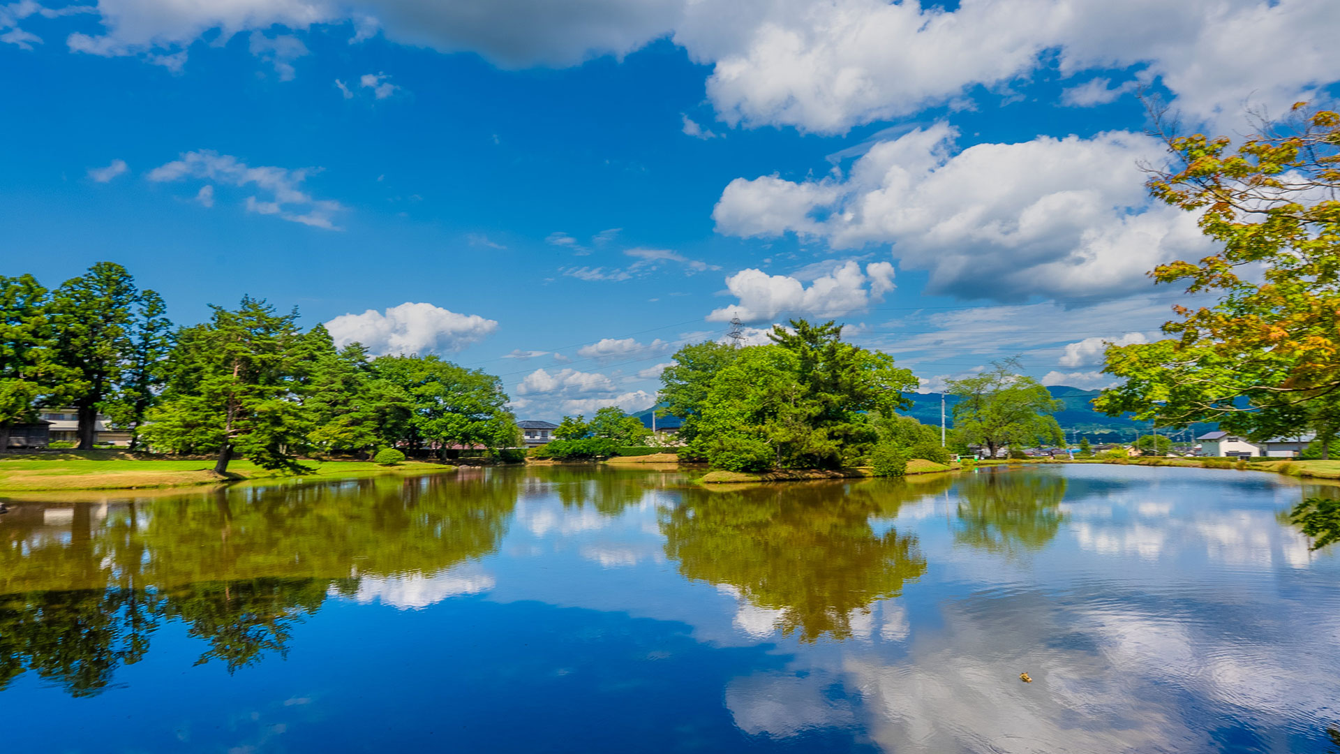 夏の観自在王院跡10