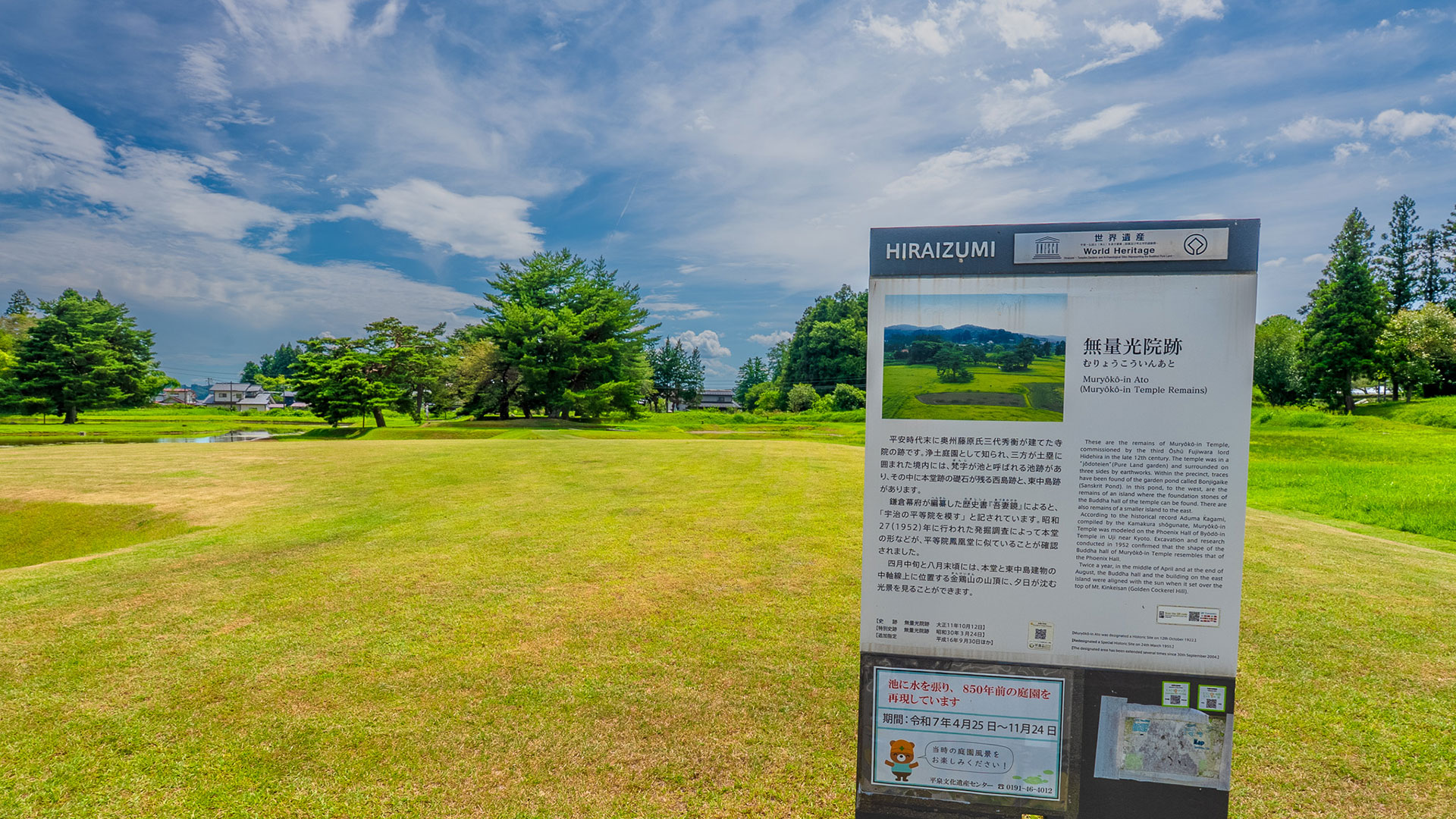 夏の無量光院跡4