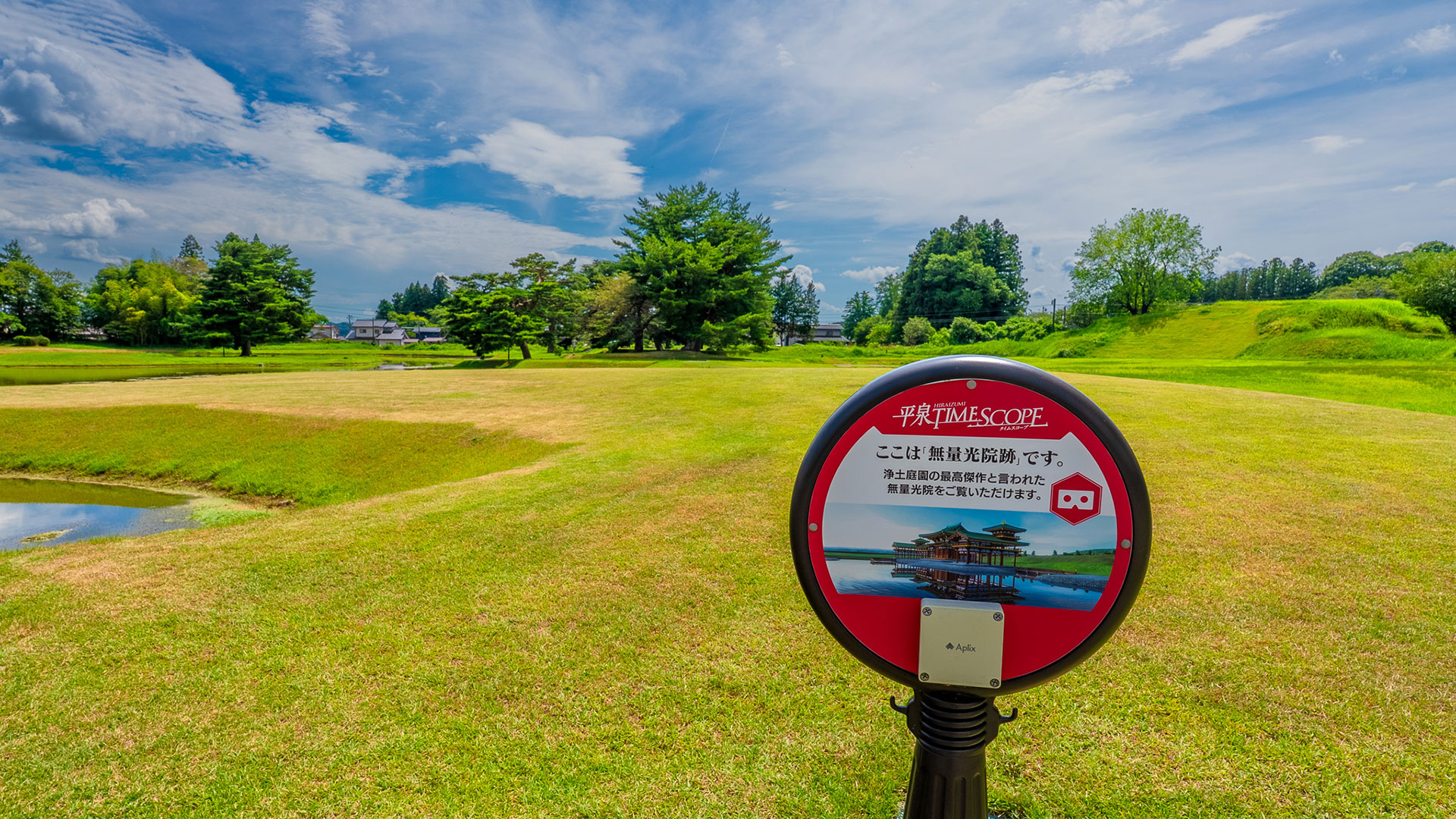 夏の無量光院跡5