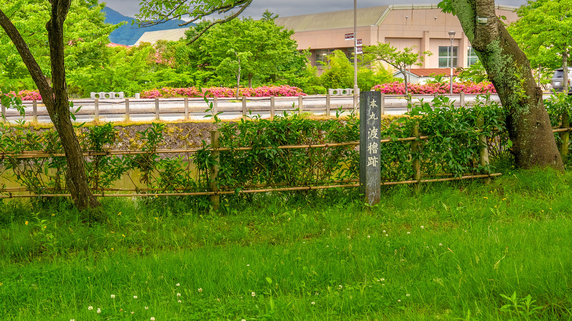 春の鶴ヶ岡城4