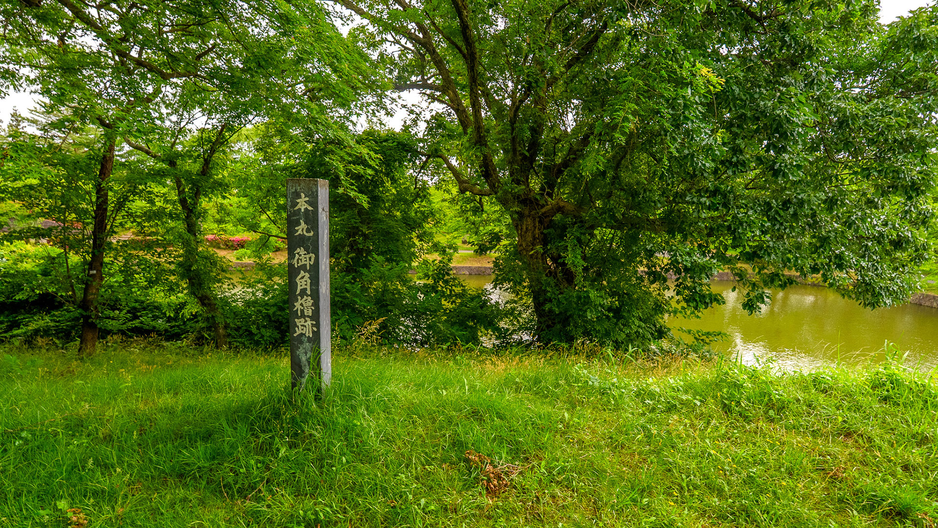 春の鶴ヶ岡城5