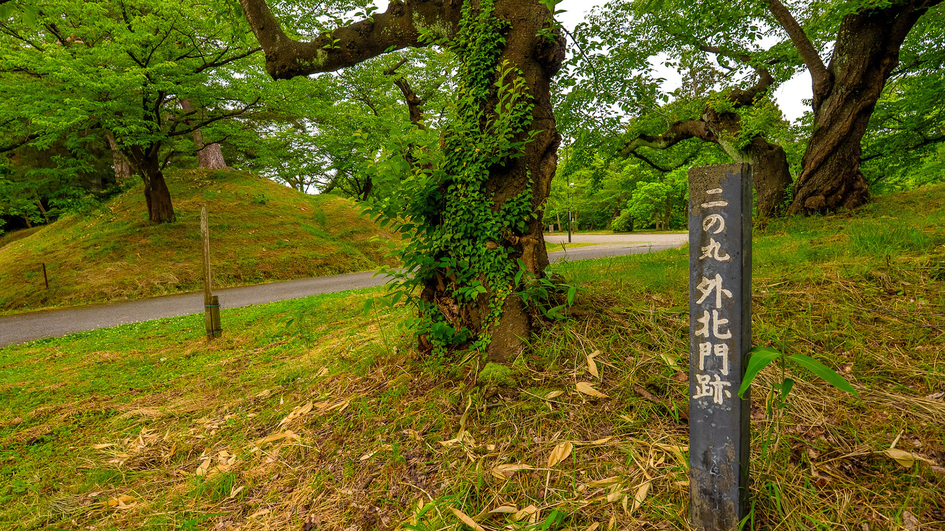 春の鶴ヶ岡城6