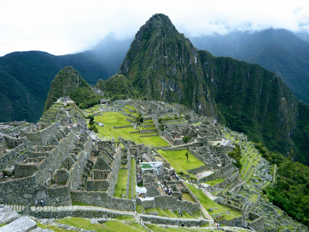 本田陽子のメイン画像