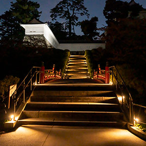 小田原城の橋（夜）