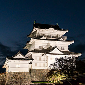 小田原城外観（夜）