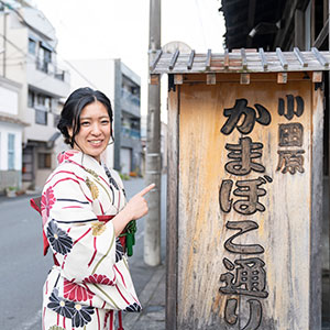 小田原かまぼこ通り