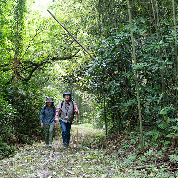 山吹城跡