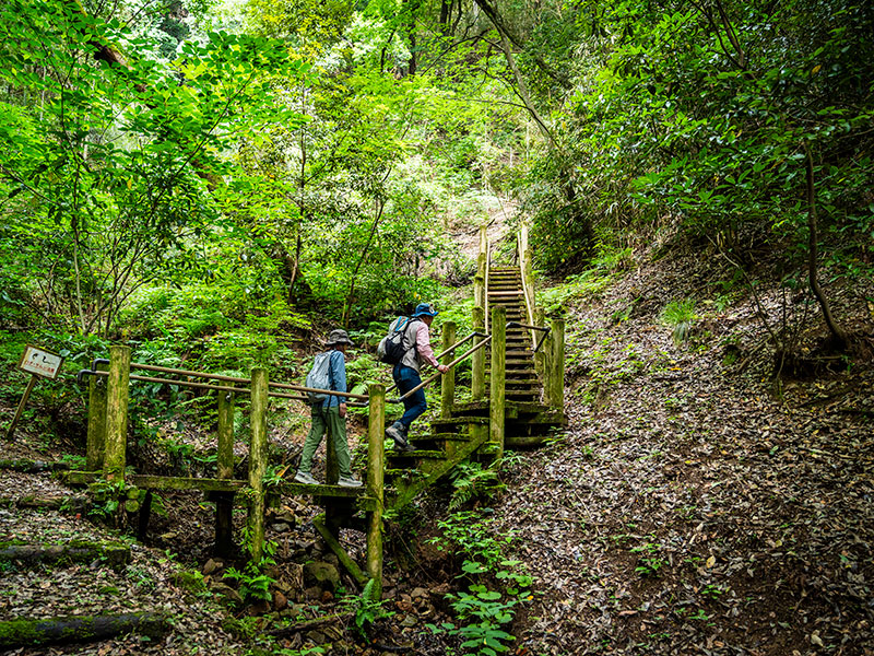 山吹城への登山途中