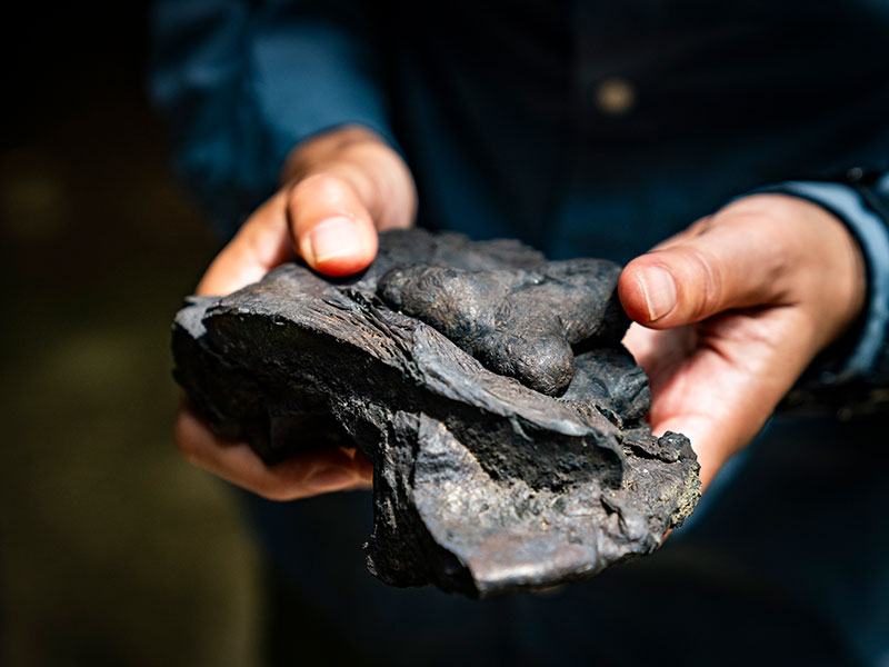 炭鉱で採れた石2