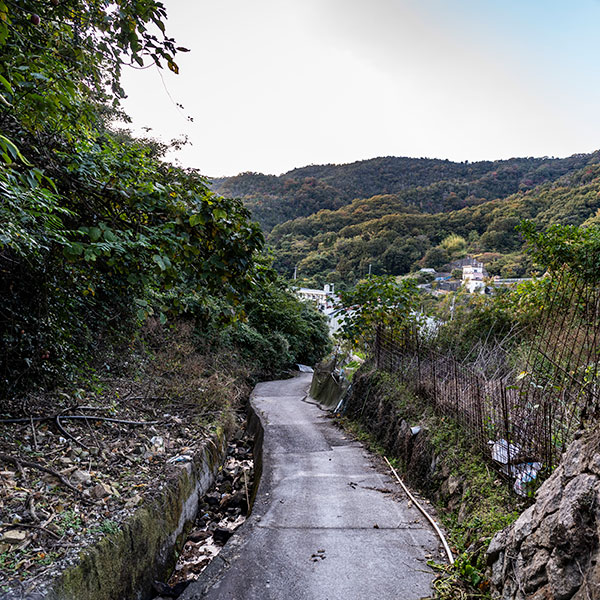 丸子山城跡3